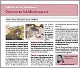 0511_Schildkroete