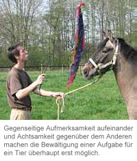 Das „TAO“ des LAO-TSE in der Tierheilkunde