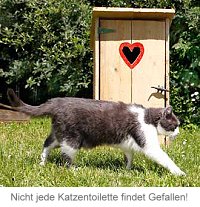 Unsauberkeit der Katze