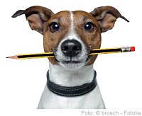 Foto: © brosch - Fotolia