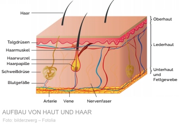 201702 Haut8