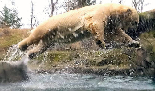 THP 2 19 Page41 Image1