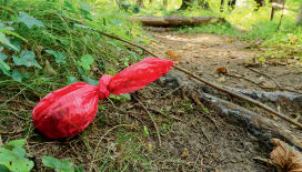 THP 2 19 Page44 Image2