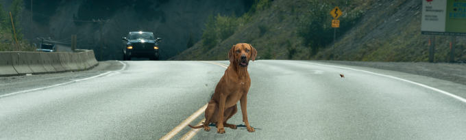 THP 2 19 Page44 Image3