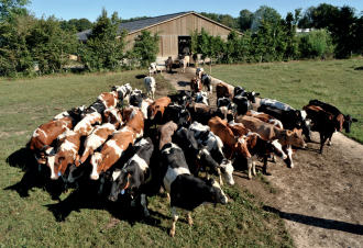 THP 2 19 Page45 Image5