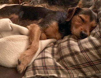 THP 2 19 Page46 Image3