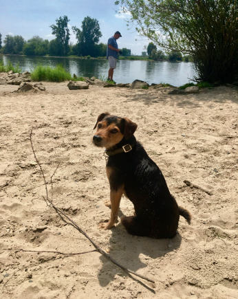 THP 2 19 Page47 Image4