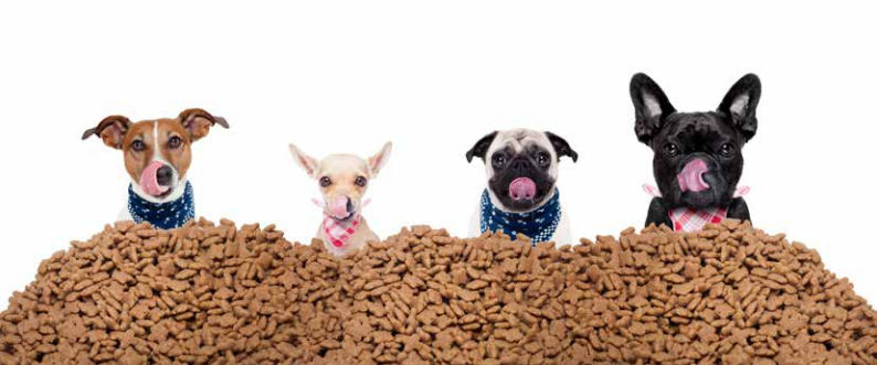 THP 2 20 Final klein Page48 Image1