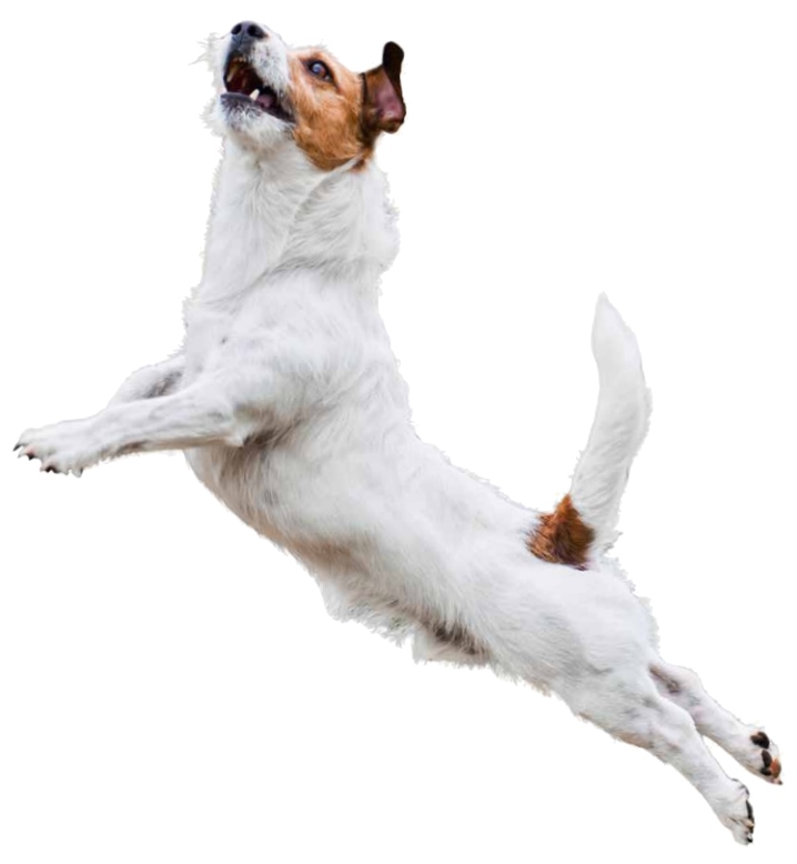 THP 2 20 Final klein Page60 Image1