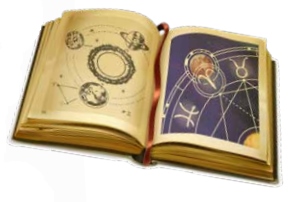 THP 2 20 Final klein Page61 Image2