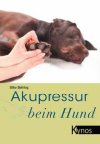 Akupressur beim Hund