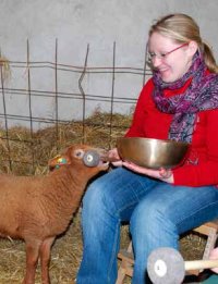 Klangmassage in der Tierheilkunde