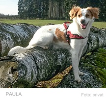 201603 Paula3