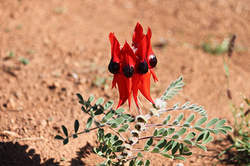 AdobeStock 263156016