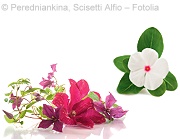 Fotos: © Peredniankina – Fotolia, Scisetti Alfio – Fotolia