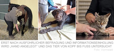 Foto: Vormwald