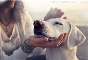 Fotos: © cristina_conti – Fotolia