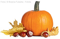 Fotos: © Bozena Fulawka - Fotolia