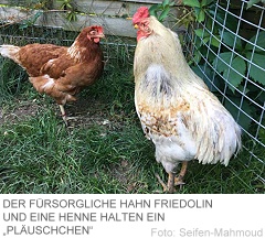 201705 Huhn4