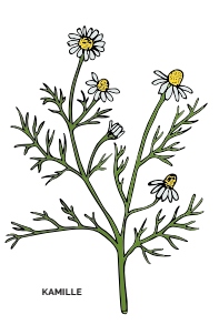 THP 5 20 Page8 Image1