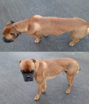 THP 5 21 300 Page18 Image1