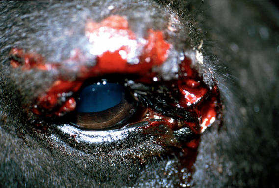 THP 5 21 300 Page22 Image2