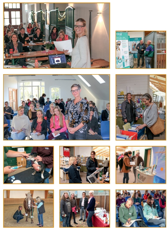 THP 6 18 Page47 Image1