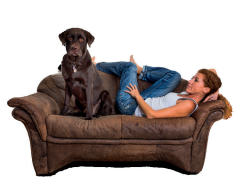 THP 6 18 Page62 Image2