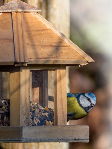 THP 6 18 Page68 Image1