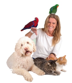 THP 6 21 300 Page34 Image1