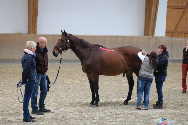 27.Tierheilpraktikerkongress