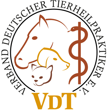 VDT Logo